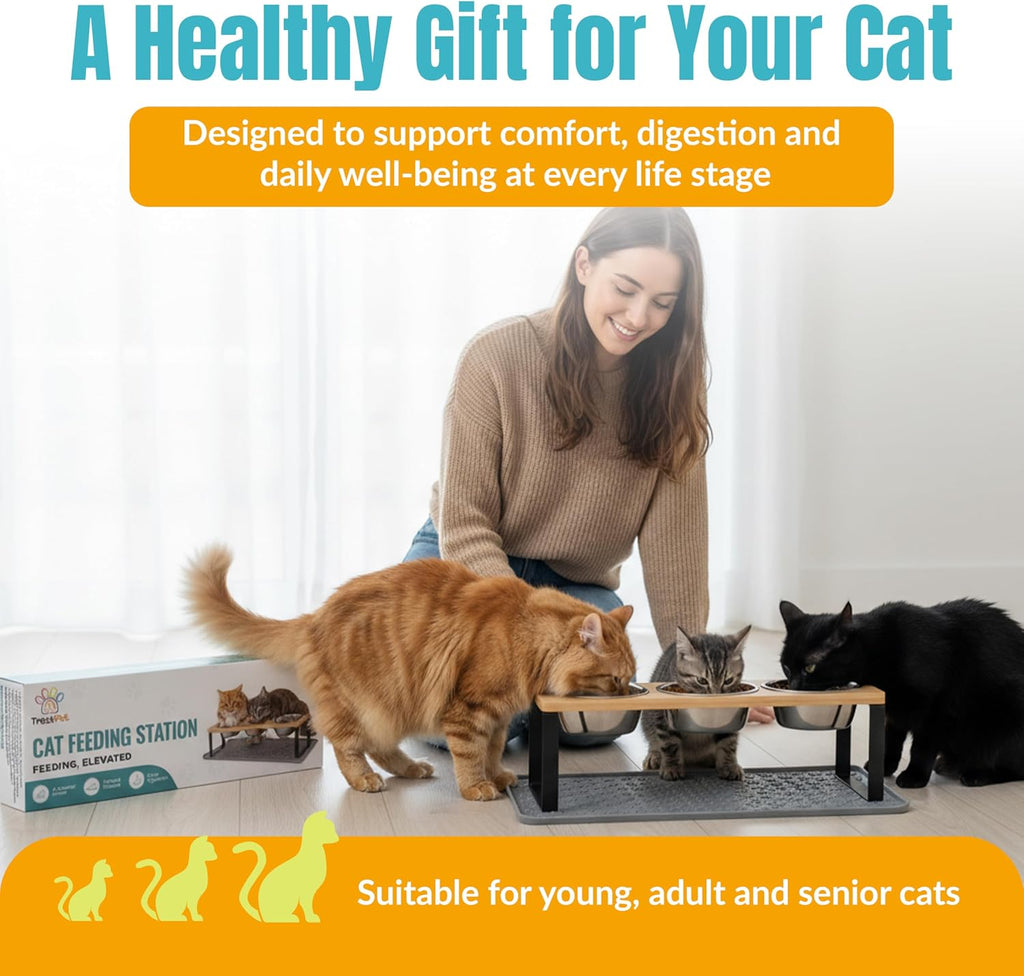 Raised Cat Food Bowls-3 Bowl Elevated Cat Feeding Station with Mat | Elevated Cat Food Bowls anti Vomiting-15° Tilted Cat Food Bowls & Elevated Slow Feeder Cat Bowls for Healthier Meals