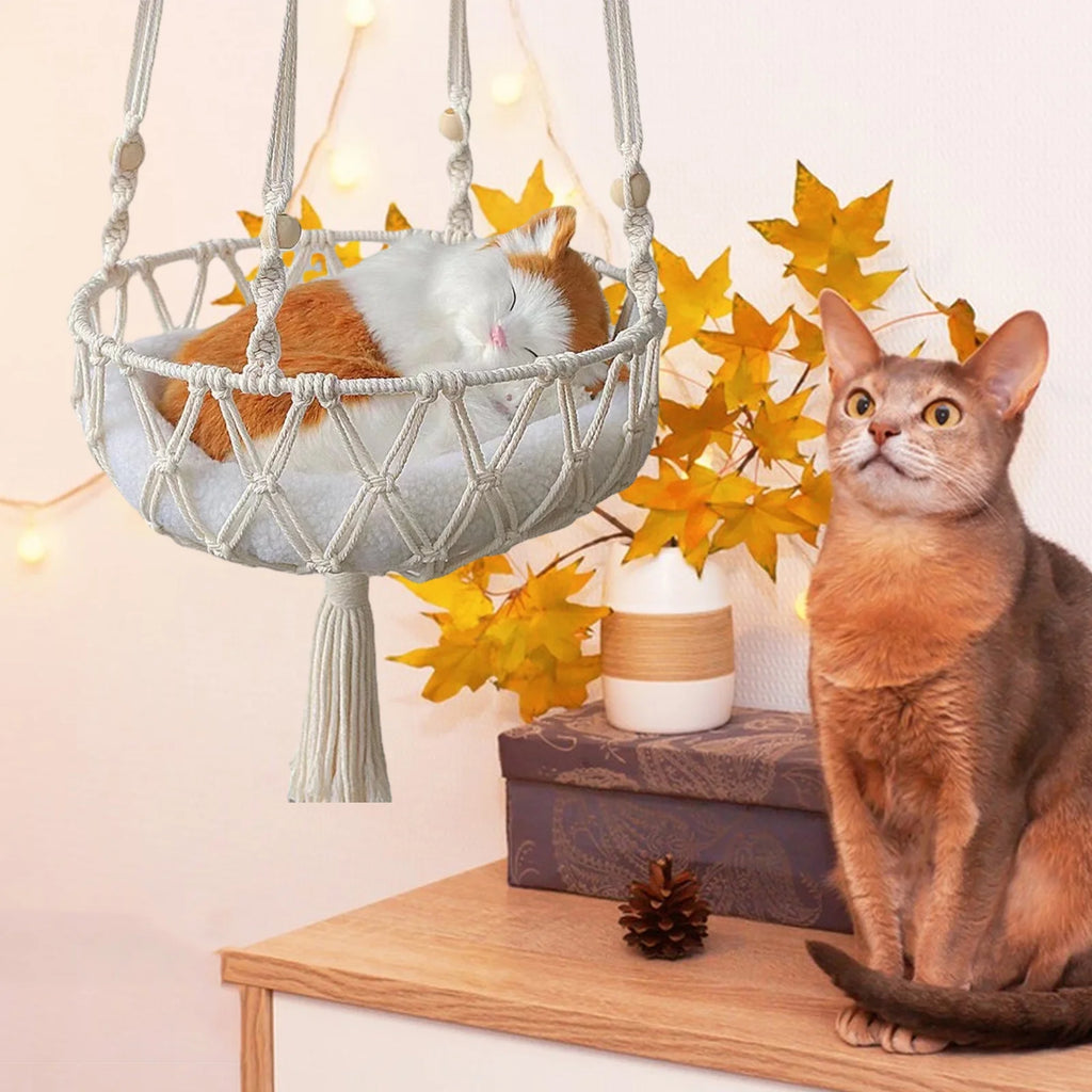 Christmas Clearance!  Dog Bed Cats Bed , Cats Hammocks Window Perches, Safe Cats Shelves Space Saving Window Mounted Cats Seat for Large Cats, Cats Hanging Bed, Cats Hanging Basket Swings