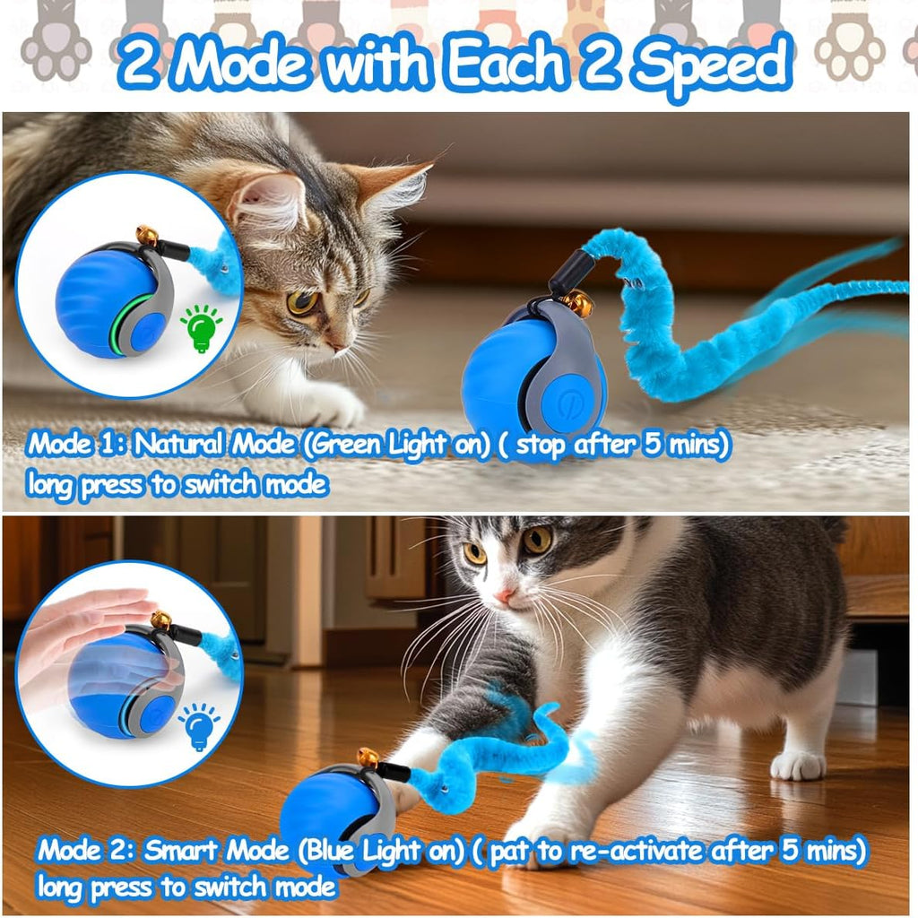 Interactive Cat Toy Ball, Rechargeable Cat Toys for Indoor Cats