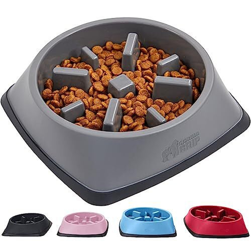 Adiestramiento De Cachorros Con Cuenco Para Perros Y Gatos Con Alimentador Lento