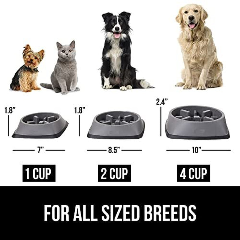 Adiestramiento De Cachorros Con Cuenco Para Perros Y Gatos Con Alimentador Lento