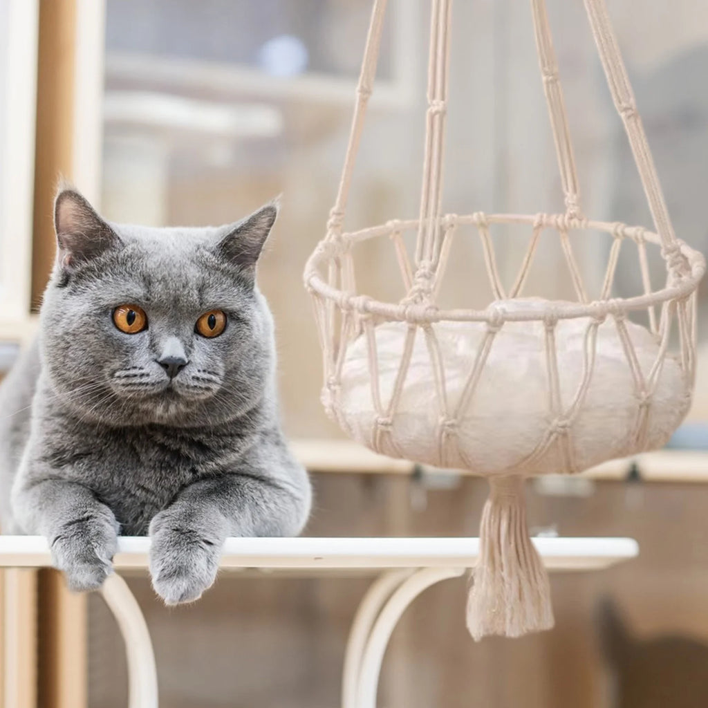 Christmas Clearance!  Dog Bed Cats Bed , Cats Hammocks Window Perches, Safe Cats Shelves Space Saving Window Mounted Cats Seat for Large Cats, Cats Hanging Bed, Cats Hanging Basket Swings