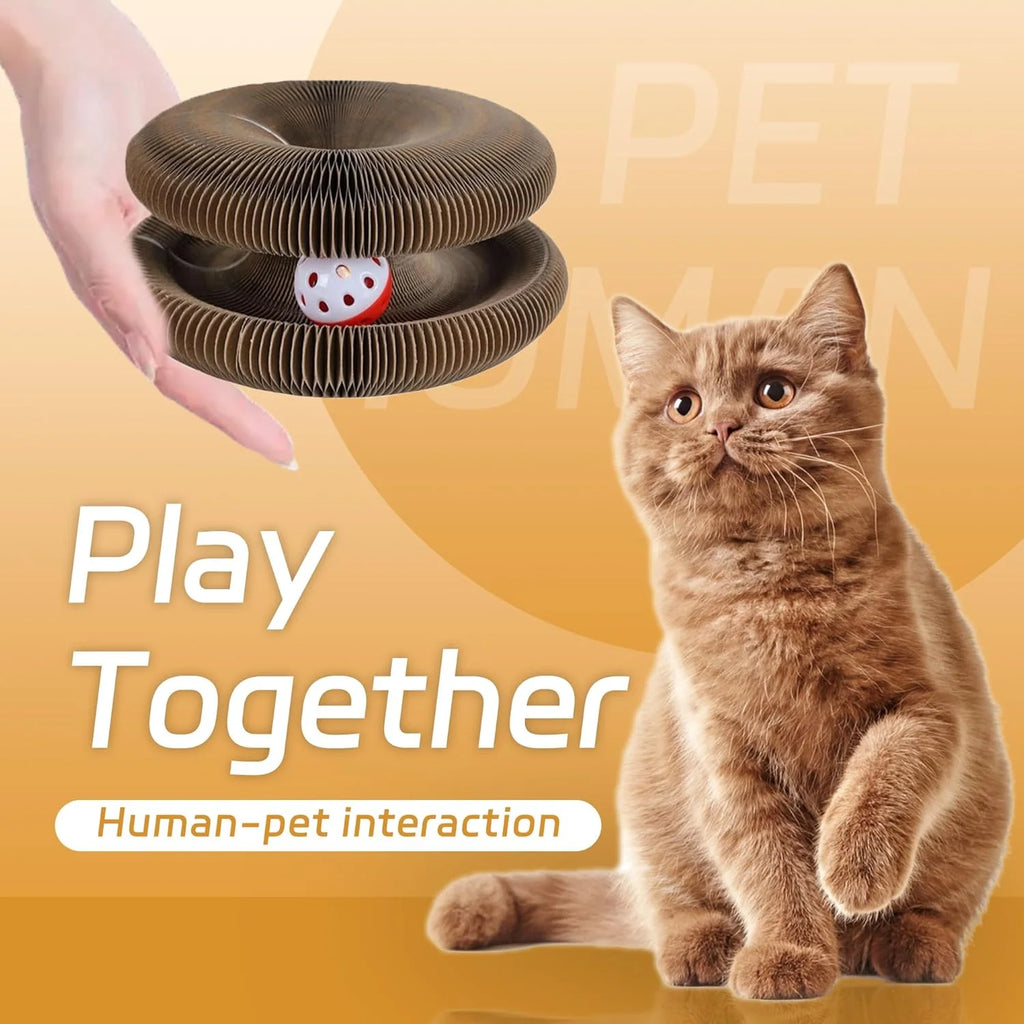 Xekoro 2 PCS Kitty Kurlz Cat Toy Magic Organ Cat Scratching Board Toy Kitty Curlz Foldable Accordion Cats Toy