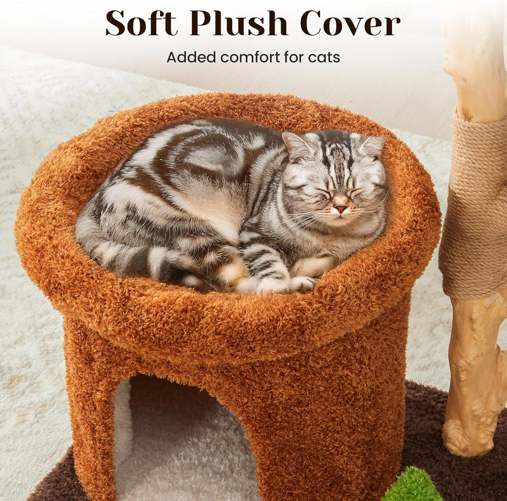 32" Multi-Level Cat Tree Tower, Natural Wood Cat Furniture with Sisal Scratching Posts, Beds & Condo, Cute Cat Tree for Indoor Cats and Multi-Cat Households