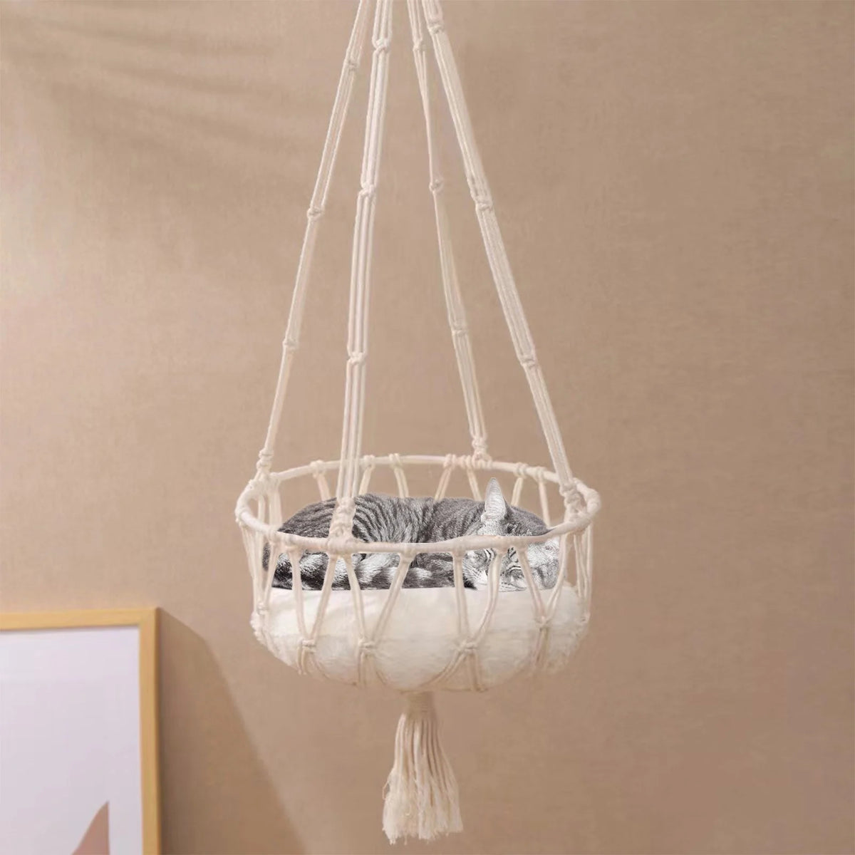 Christmas Clearance!  Dog Bed Cats Bed , Cats Hammocks Window Perches, Safe Cats Shelves Space Saving Window Mounted Cats Seat for Large Cats, Cats Hanging Bed, Cats Hanging Basket Swings