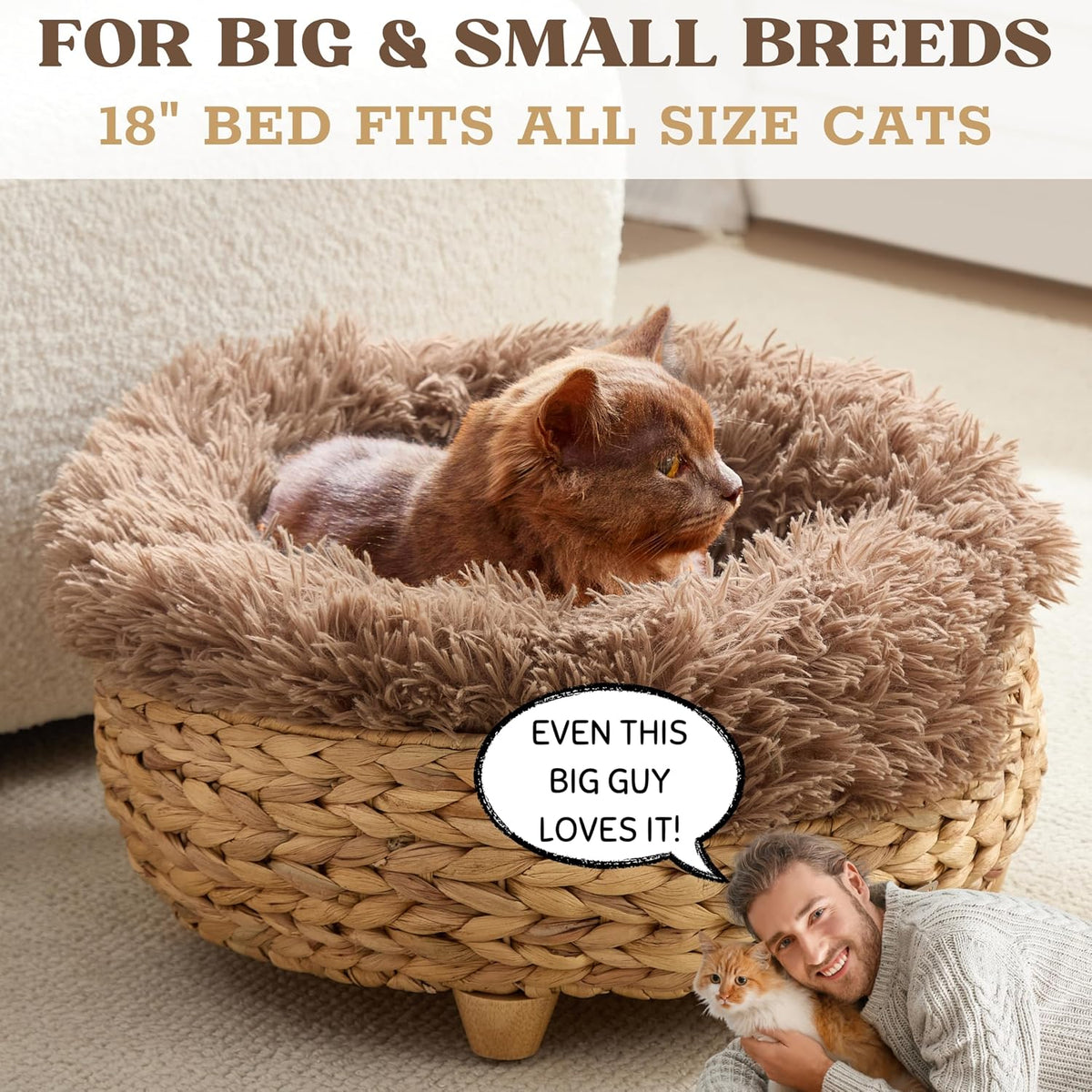 Cat Luxury Cat Bed for Indoor Cats, Plush Furniture for Comfort and Relaxation, Soft Covered Nest for Cats, Washable Warm Design with Modern Zen Style