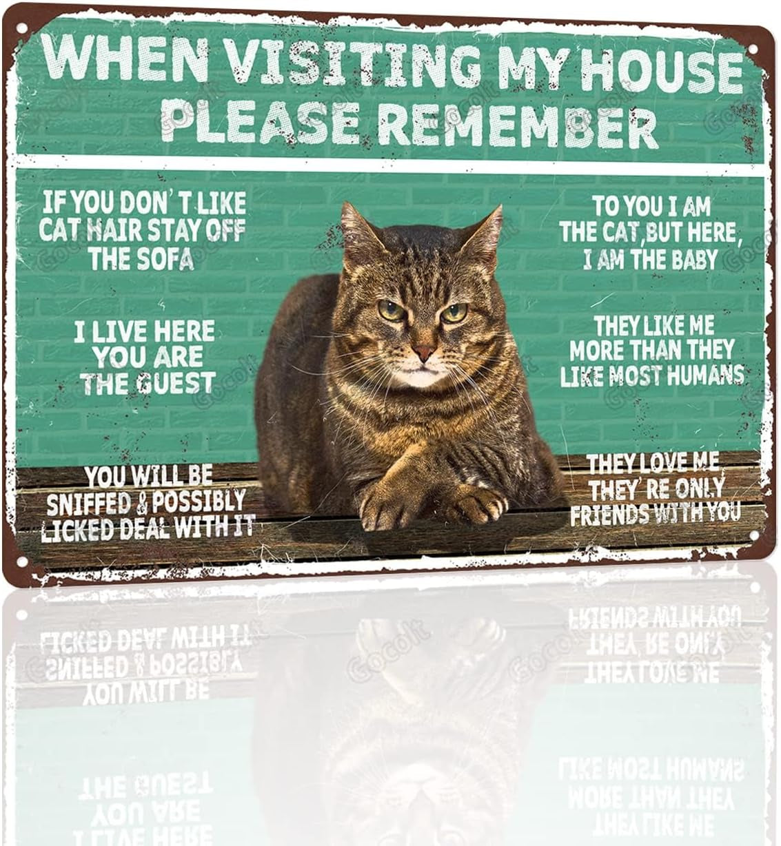 Remember Vintage Wall Decor When Visiting My Home - Cat Gifts for Cat Lovers - Original Design Pewter Metal Wall Art Print Poster - Extra Thick Tinplate Wall Decor Sign 8X12 Inches