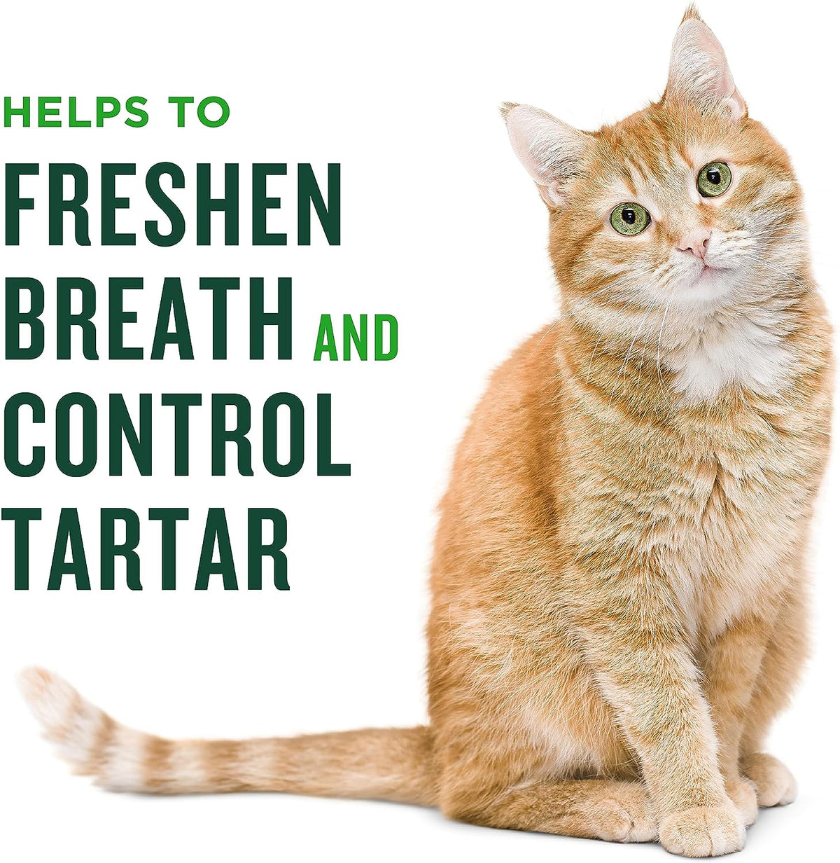 Dental Treats for Cats, Chicken Flavor, 2.5 Oz